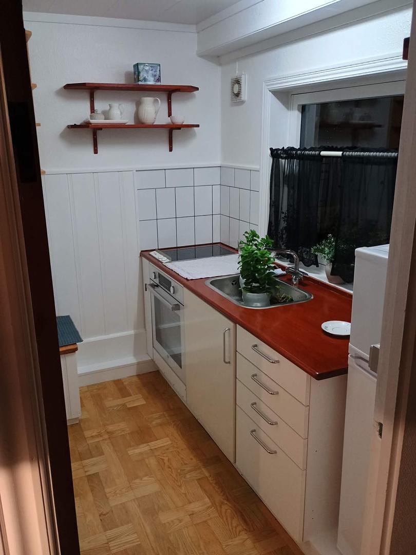 Íbuð til leigu mitt í býnum - 40m²