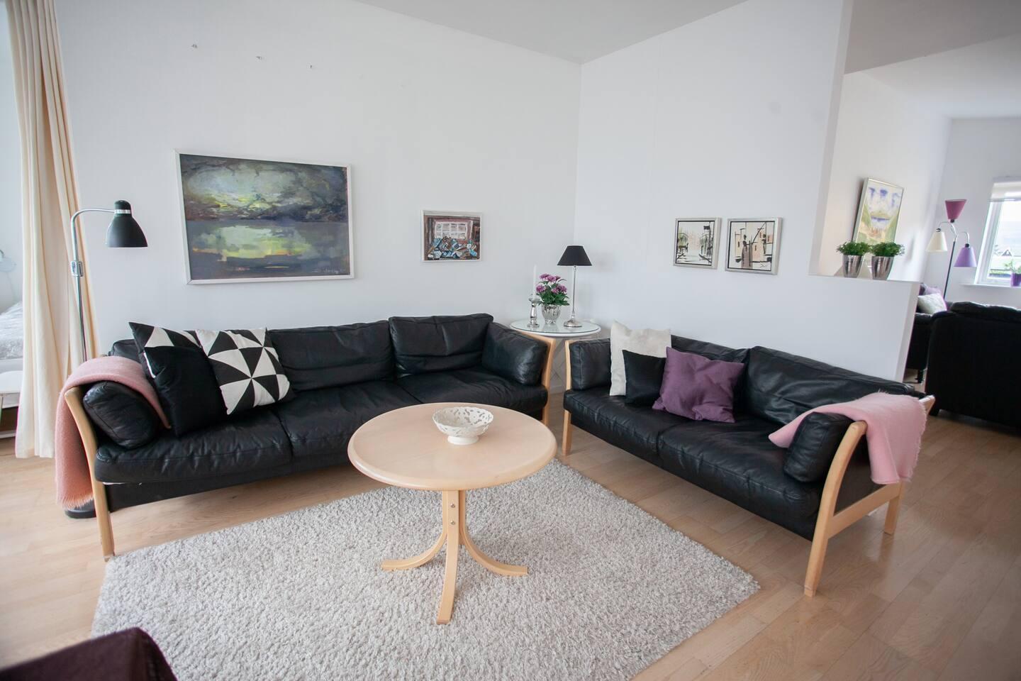 Stór góð ljós íbúð