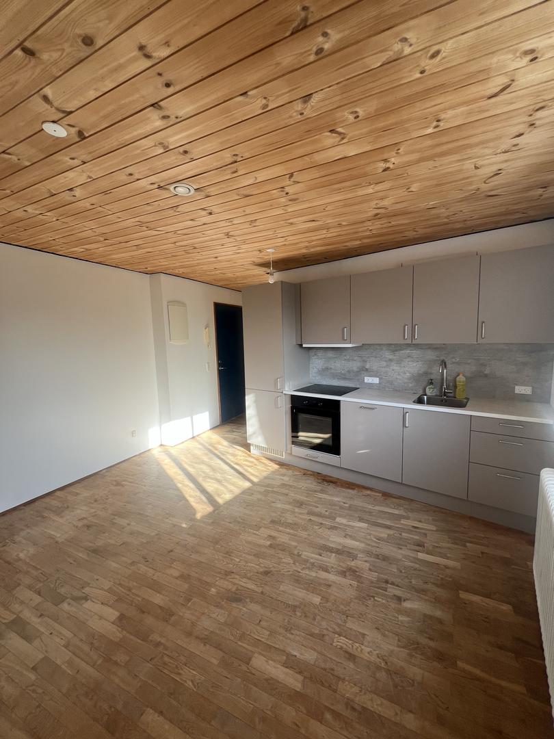 Íbúð beint við SMS til leigu