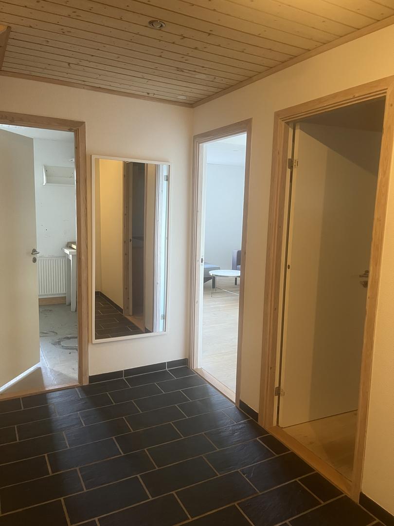 Ljós rúmlig íbúð við fantastiskum útsýni