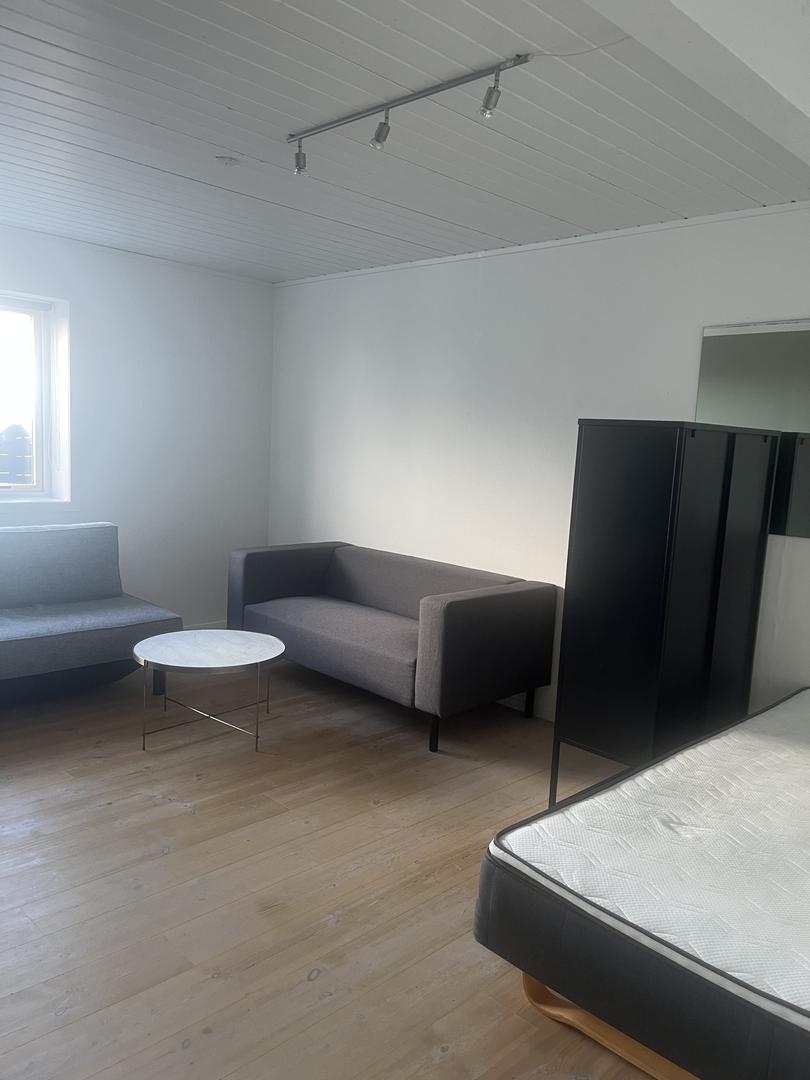 Ljós rúmlig íbúð við fantastiskum útsýni