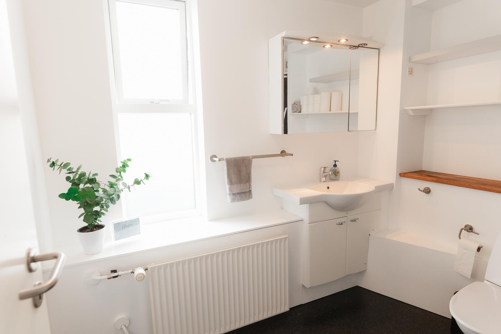 Lítil góð íbúð mitt í Tórshavn