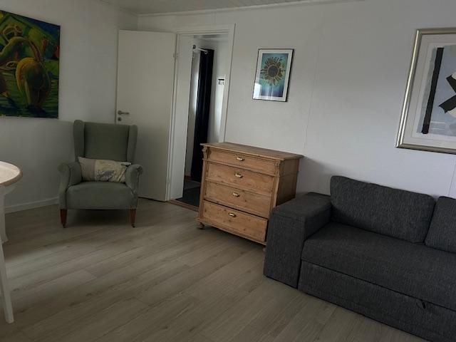 Ljós og hugnalig íbúð