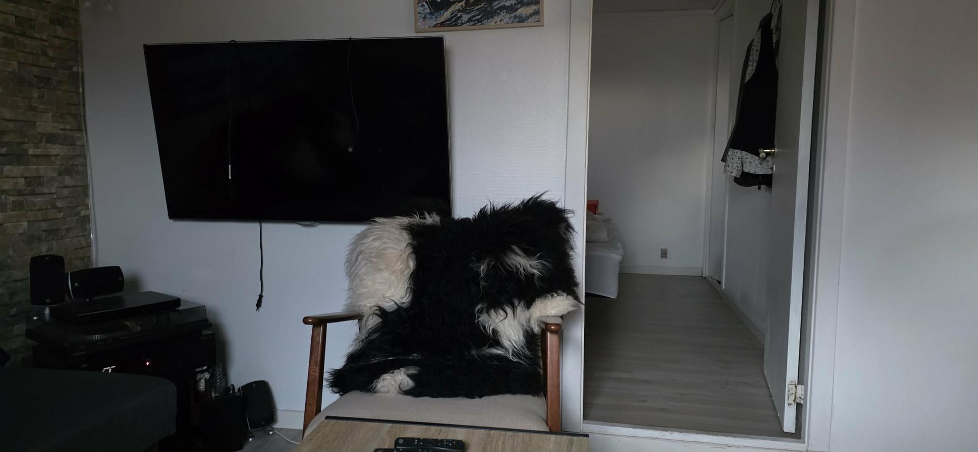 Lítil íbúð